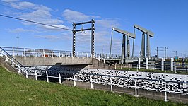 Koegrasbrug