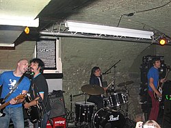 Los Súper Ratones in live, 2006.