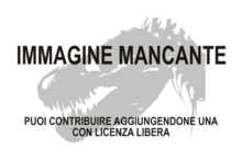 Immagine di Dysganus mancante