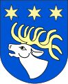 Wappen des Powiat Rycki