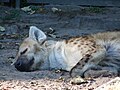 Tierpark Berlin 06