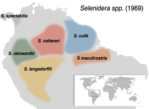 Distribuo de la ses specioj de Selenidera je1969. "S. maculirostris" korespondas al la populacio nune agnoskata kiel S. gouldii, kun la "veraj" S. maculirostris (ne inkluditaj en tiu mapo) loĝanta en la Atlantika arbaro de orienta Sudameriko.