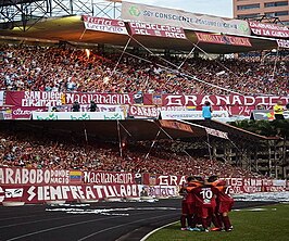 Fans van Carabobo Fútbol Club