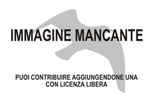 Immagine di Brodo/Paridae mancante