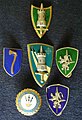 NATO Command AFCENT badges