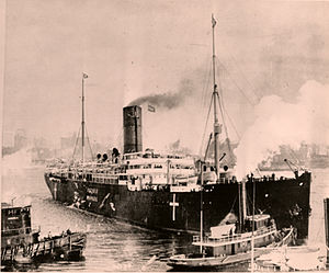 Henry Ford Peace Ship