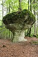 Der Parasol im Wald östlich des Paradiestals