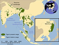 Phân bổ trong lịch sử của hổ (vàng nhạt) và 2006 (xanh lá)[3]