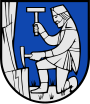 Schladming – znak