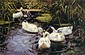 Alexander Koester: Enten auf einem Schilfteich (ca. 1890)