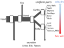 Aristotle's metabolism as an open flow model