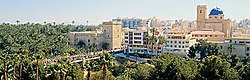 Skyline of Elche