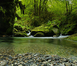 The upper part of the River Arros at Asque