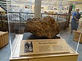 "World's Largest Pallasite Meteorite"