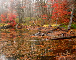 Eastern Patagonia