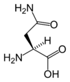 Aminoacido