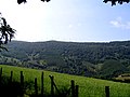 Éoliennes sur les hauteurs de Leitza.