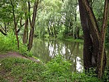 In Potsdam, am linken unteren Bildrand der Damm zum Aradosee