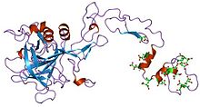 Description de l'image PDB_1pfx_EBI.jpg.