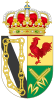 Coat of arms of Xinzo de Limia