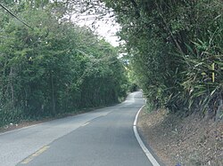 Northbound PR-139 through Barrio Machuelo Arriba