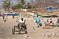 Image 6A donkey cart at a beach in The Gambia