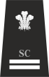 Gwent Special Inspector Rank Insignia