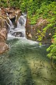 Cascade de Khao Chamao et poissons Neolissochilus soroides