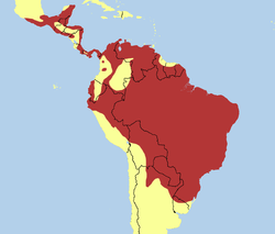 Distribución actual del género Sarcoramphus.