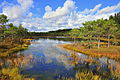 Marais de Meenikunno, à Nohipalo, Räpina.