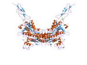 2e4x​: Kristalna struktura ekstracelularnog regiona grupe II metabotropnog glutamatog receptora u kompleksu sa 1S,3R-ACPD