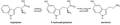 Metabolic pathway from tryptophan to 5-hydroxytryptophan to serotonin.