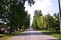 The main street, Széchenyi utca