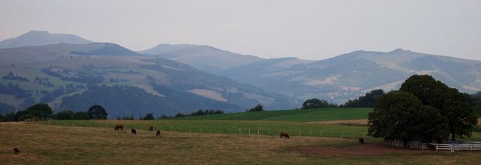 Vue panoramique depuis le plateau de Saint-Cernin avec les montagnes du col de Légal à droite et au centre et le puy Chavaroche à gauche. En contrebas de ces diverses montagnes, il y a une ligne courbe longeant le piémont allant de gauche à droite, faite de bouquets d'arbres, parfois peu touffus mais qui le sont plus tout à fait à droite de la photo. Cette ligne de bosquets enserre une étendue assez plane et vaste divisée entre des terres plus rousses ou pâturent quelques bêtes et d'autres plus vertes.