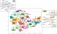 Occupation-personality - Vocation Map.jpg