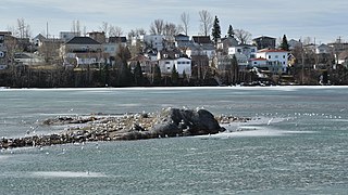 Lac Osisko, l'île aux mouettes.