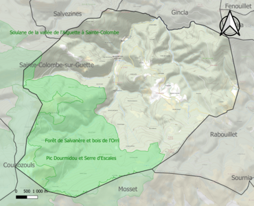 Carte des ZNIEFF de type 1 sur la commune.