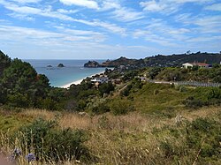 View of Hahei township and beach