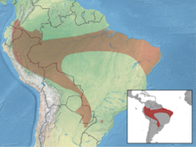 Myotis simus distribution.png