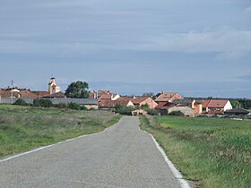 Ribota