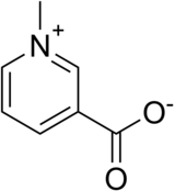 Image illustrative de l’article Trigonelline