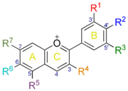 numérotation du noyau