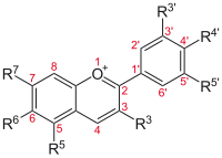 Core structure common to all anthocyanins, some of which produce the blue pigments in blueberries.[52]