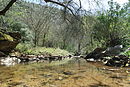 Sierra de Hornachuelos