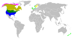 Amarelo = nidificación no verán (escuro nativo e claro introducido). Verde = área de estada todo o ano (escuro nativo e claro introducido). Azul = área de invernada (escuro nativo e claro introducido).