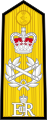 Royal Navy admiral of the fleet (shoulder board)