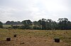 Wansford Pasture