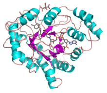 Aldose reductase 1us0.png