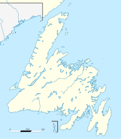 Town of Stephenville is located in Newfoundland