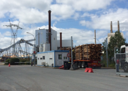 Entrée de bois à l'usine de Smurfit.